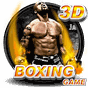 Ícone do apk Boxe jogo 3D