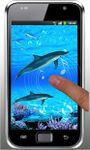 Dolphin Sounds Live Wallpaper Bild 2