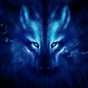 APK-иконка волк ночь тема