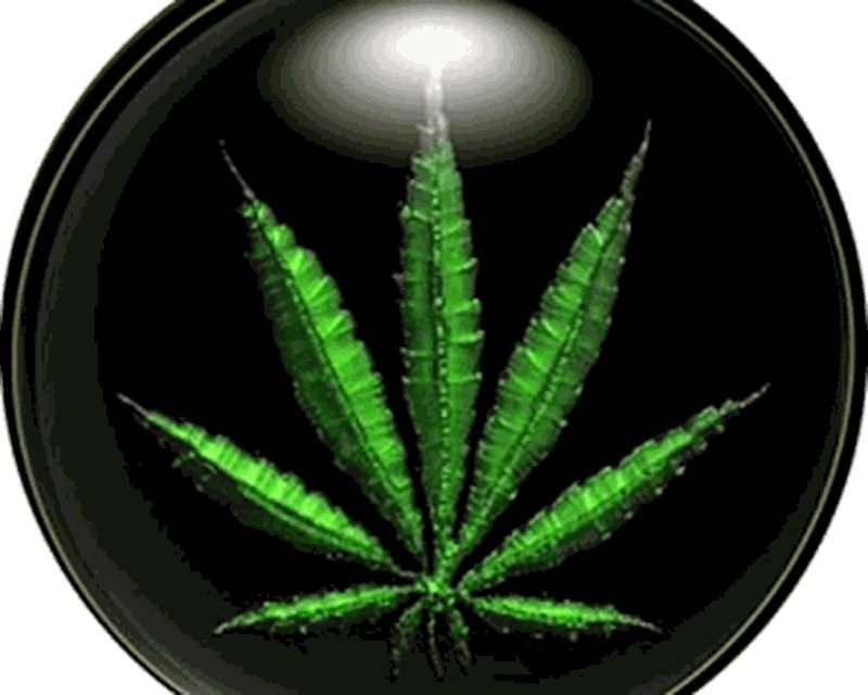 Download Weed Hd Wallpapers 20 Free Apk Android