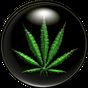 Weed HD Wallpapers APK icon