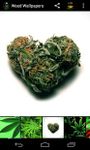 Weed HD Wallpapers afbeelding 2