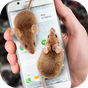 Icône apk Souris à l'écran blague