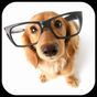 Dog Breeds Encyclopedia APK