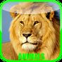 Tierlaute Tierpark APK Icon