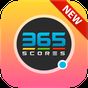 365 Scores APK