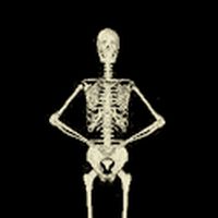 Ícone do apk Funny Skeleton Dancing LWP