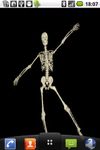 Imagem 1 do Funny Skeleton Dancing LWP