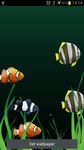 Captura de tela do apk Peixe Aquario-Papel de Parede 1