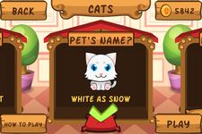 My Virtual Cat - Cute Kittens imgesi 11