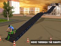 Immagine 6 di Rooftop BMX Bicycle Stunts