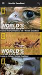 Картинка  National Geographic Channel