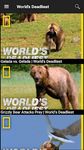 Картинка 4 National Geographic Channel