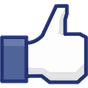 FaceBook Page Likes Widget APK Simgesi