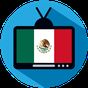 Icono de TV Mexico Online Info Channels