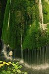 Imagem 5 do 3D Waterfall Live Wallpapers