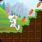 Bunny Run : Peter Legend APK icon
