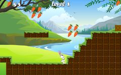 Bunny Run : Peter Legend afbeelding 12