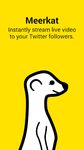 Meerkat image 