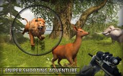 Jungle Hayvan Avcılık ekran görüntüsü APK 15