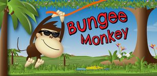 Captura de tela do apk Bungee Monkey 