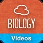 GCSE BIOLOGY : REVISION VIDEOS APK