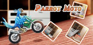Imagine Parrot Moto 
