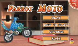 Parrot Moto image 1