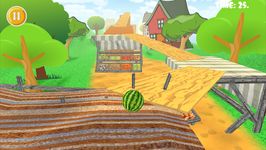 Screenshot  di Watermelon Balance 3D Ball apk