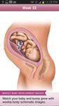 Immagine 16 di BabyBump Pregnancy Pro