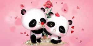 Imagem  do Rosa do amor Panda