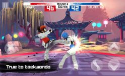 Taekwondo Game screenshot apk 