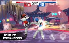 Taekwondo Game captura de pantalla apk 4