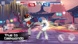 Taekwondo Game captura de pantalla apk 8