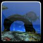 Ocean Aquarium 3D Wallpaper apk icon