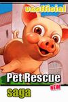 Imagem  do Pet rescue saga videos cheats
