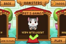รูปภาพที่ 12 ของ My Virtual Hamster - Cute Pet