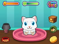 Imagem 1 do Meu Hamster Virtual