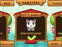 Imagem 2 do Meu Hamster Virtual