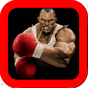 Boks Fight APK Simgesi