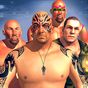 Tag stars Team Wrestling 2018: Revolution Fighting APK