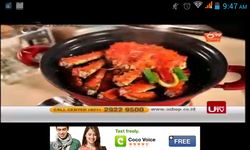 Captura de tela do apk Indo HD TV Channels Live 4