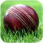 IND vs SA Live Cricket의 apk 아이콘