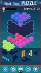 Block Hexa Puzzle image 11