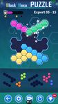 Block Hexa Puzzle image 17