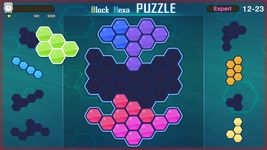 Block Hexa Puzzle image 5