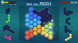 Imagem 6 do Block Hexa Puzzle