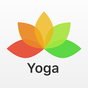 Yoga – posizioni e corsi