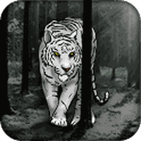 Download 98+ Gambar Grafiti Harimau Terbaik 