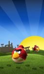 Imagem 3 do Angry Birds live wallpaper